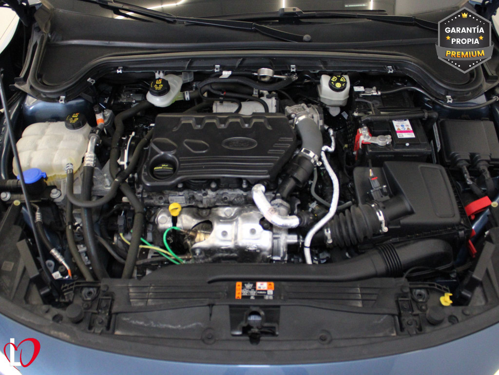 FORD FOCUS 1.5 ECOBLUE Trend+ Auto 120 de segunda mano