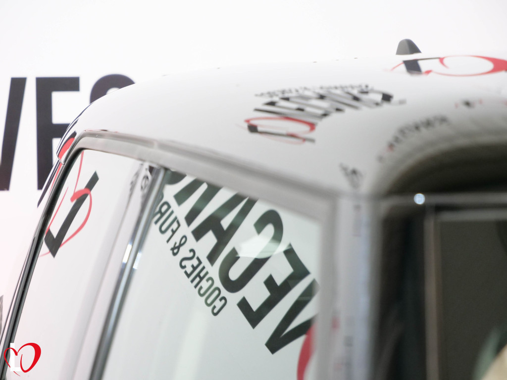 MINI COUNTRYMAN COOPER SE ALL4 TECHO 136+88 de segunda mano