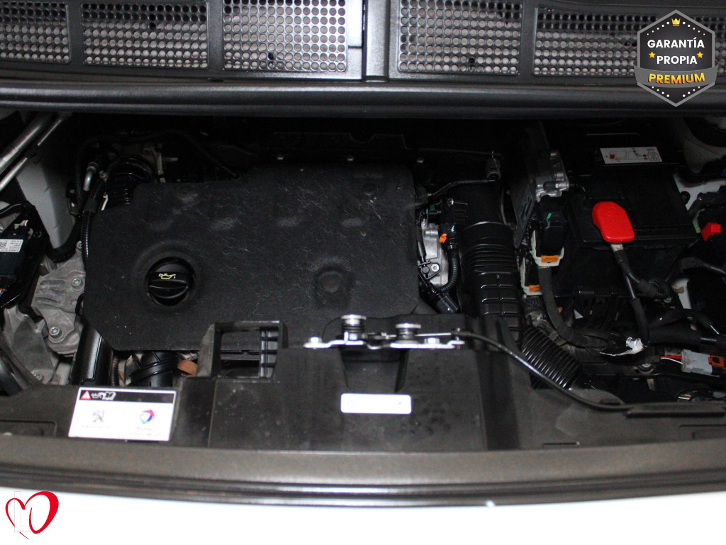 PEUGEOT EXPERT COMBI BlueHDi 120 S&S 6 Vel. MAN Standard de segunda mano